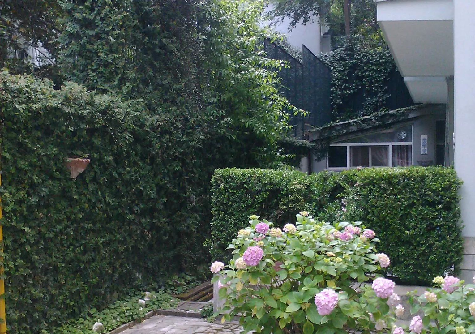 Residence Prati Rome