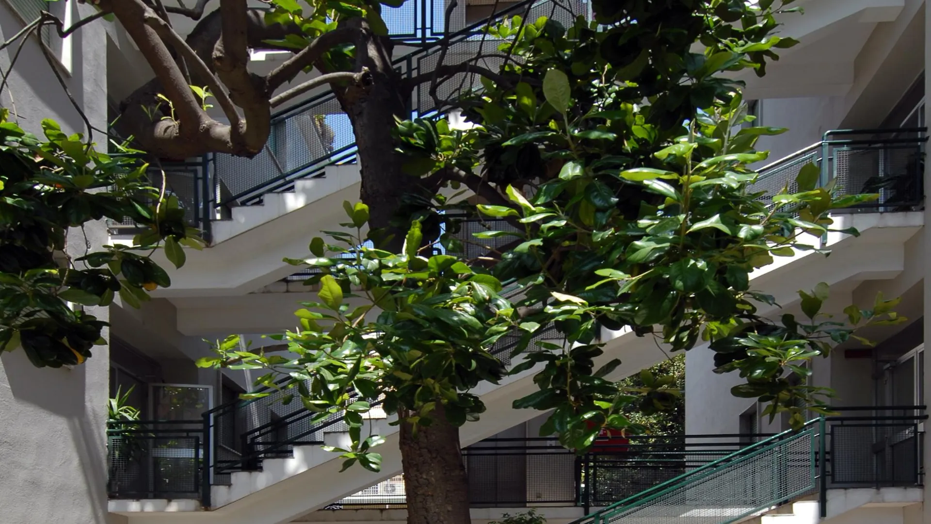 Residence Prati Rome